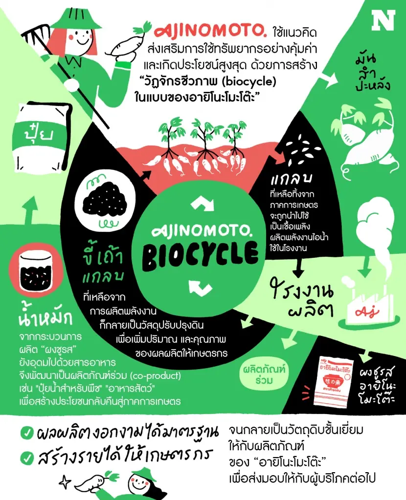 วัฏจักรชีวภาพ (biocycle) ในแบบของอายิโนะโมะโต๊ะ