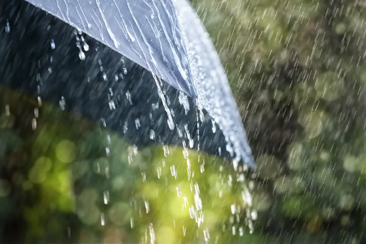 กรมอุตุฯ ประกาศเตือนฉบับที่ 2 "พายุฤดูร้อน" เปิด 57 จังหวัด เสี่ยงฝนฟ้าคะนอง ลมกระโชก