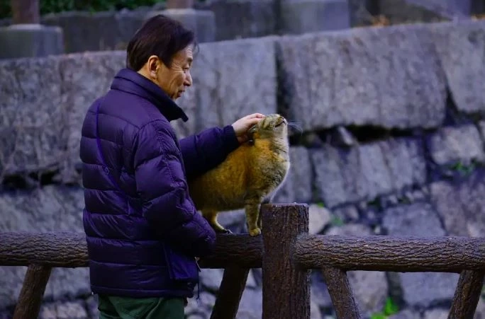 ภาพโดย buffalobrian จาก Pixabay