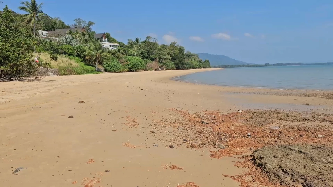 "ฝรั่งเตะหมอ" ไม่จบง่ายๆ คนภูเก็ตไม่ขอทน จ่อชุมนุมขับไล่ "เดวิด" พ้นภูเก็ต