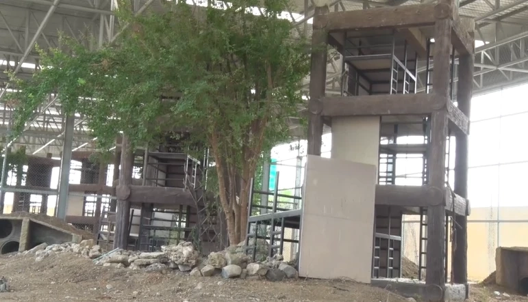 ดีเดย์ 25 มี.ค. นี้ กรมอุทยานฯ ย้ายลิงลพบุรีล็อตแรก ไป "สวนลิง" ตำบลโพธิ์เก้าต้น