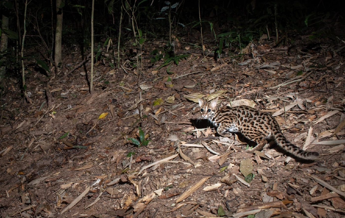 เครดิตภาพ : เฟซบุ๊กเพจ อุทยานแห่งชาติแก่งกระจาน - Kaeng Krachan National Park