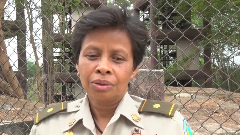 ดีเดย์ 25 มี.ค. นี้ กรมอุทยานฯ ย้ายลิงลพบุรีล็อตแรก ไป "สวนลิง" ตำบลโพธิ์เก้าต้น