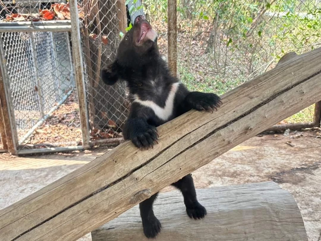 ประชาสัมพันธ์ กรมอุทยานแห่งชาติ สัตว์ป่า และพันธุ์พืช