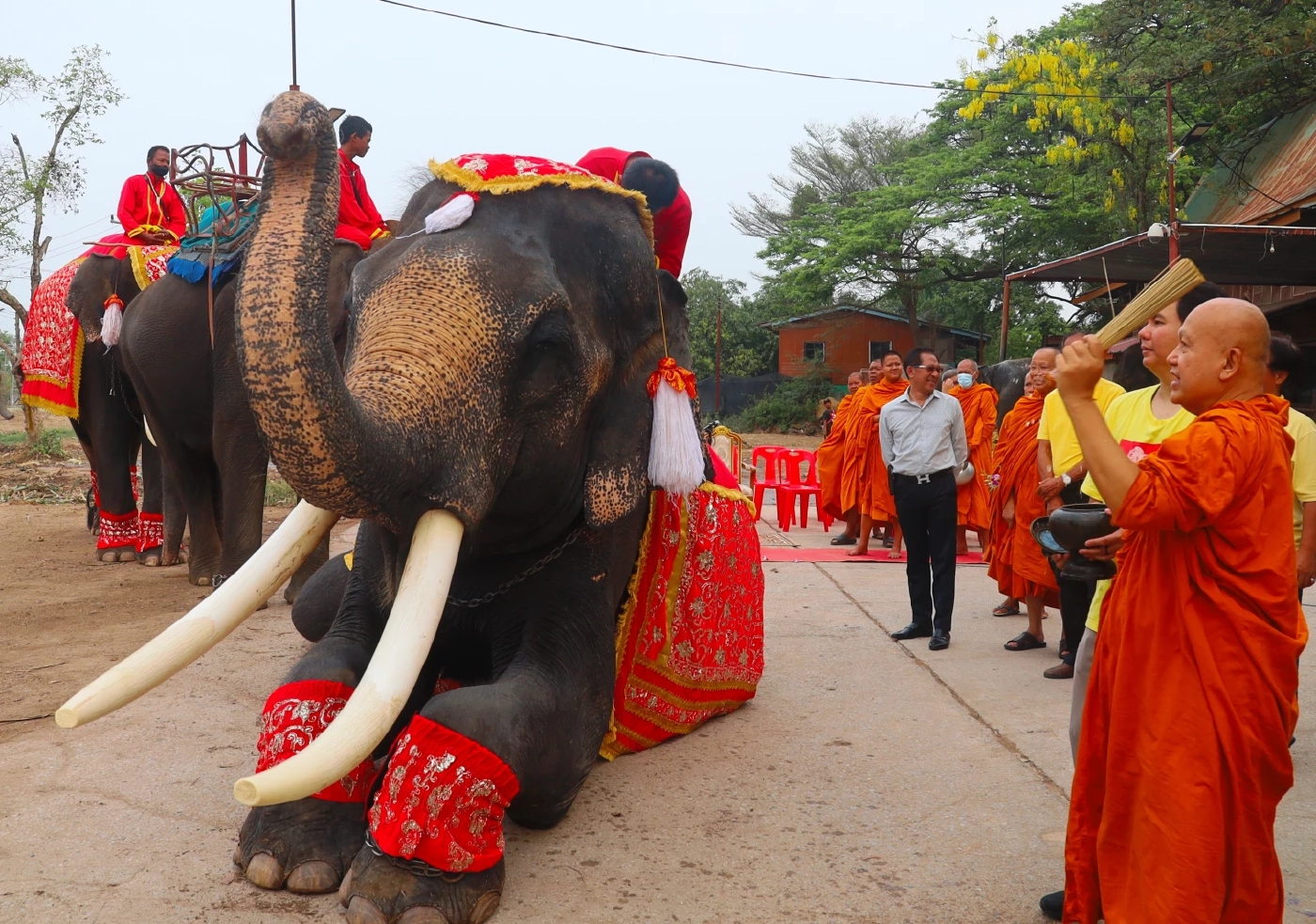 พรมน้ำมนต์ให้ช้าง
