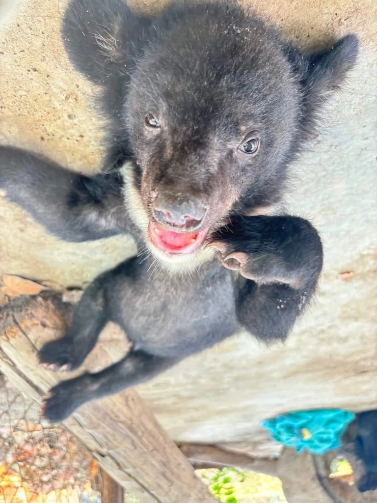 ประชาสัมพันธ์ กรมอุทยานแห่งชาติ สัตว์ป่า และพันธุ์พืช
