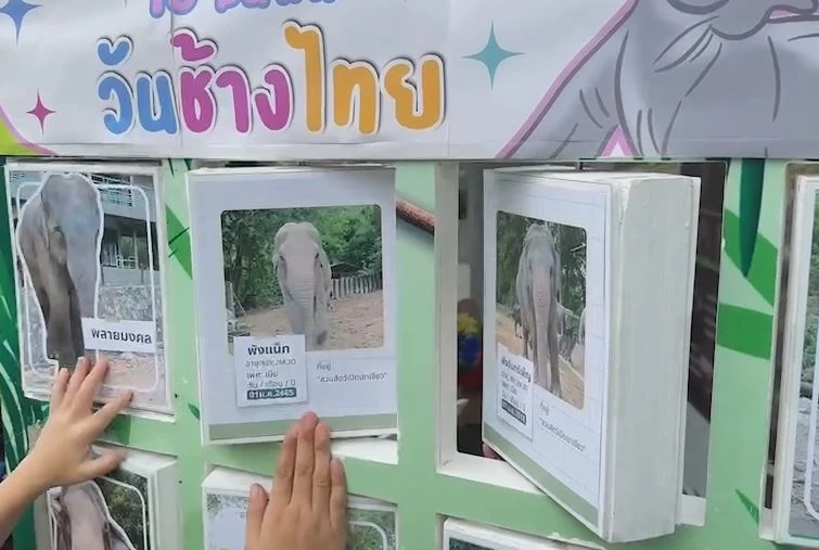 จัดใหญ่วันช้างไทย 13 มีนา ร่วมฉลองและให้ความสำคัญต่อการอนุรักษ์สัตว์คู่บ้านคู่เมือง