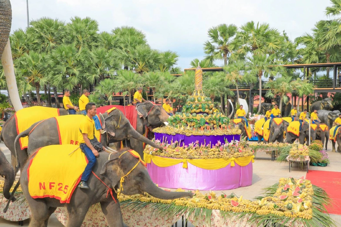 จัดใหญ่วันช้างไทย 13 มีนา ร่วมฉลองและให้ความสำคัญต่อการอนุรักษ์สัตว์คู่บ้านคู่เมือง