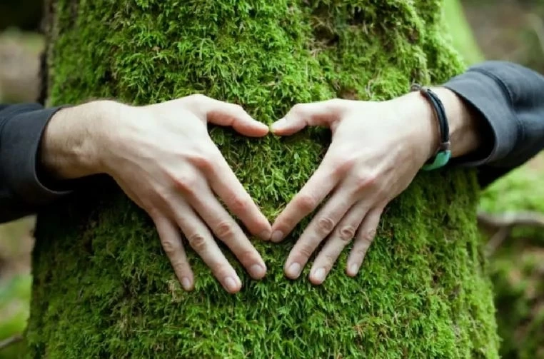 เปิดข้อมูลน่ากังวล อีก 100 ปีข้างหน้า ประเทศไทยอาจไม่เหลือพื้นที่ป่า