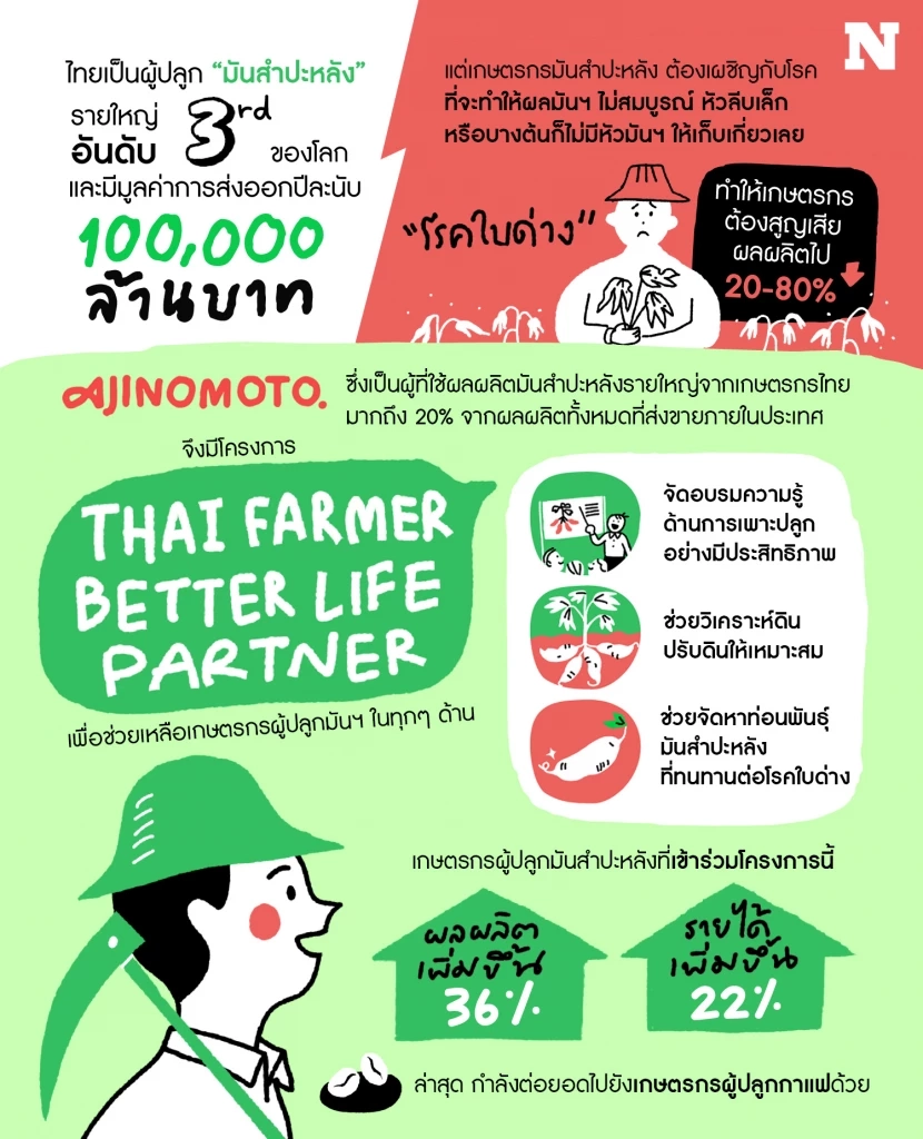 Ajinomoto โครงการ Thai Farmer Better Life Partner เพื่อดูแลเกษตรกรผู้ปลูกมันสำปะหลัง