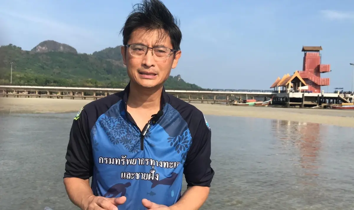 อธิบดีกรมทะเล ลงเองหาสาเหตุหญ้าทะเลตาย "พะยูน" ตรัง ประชากรลด