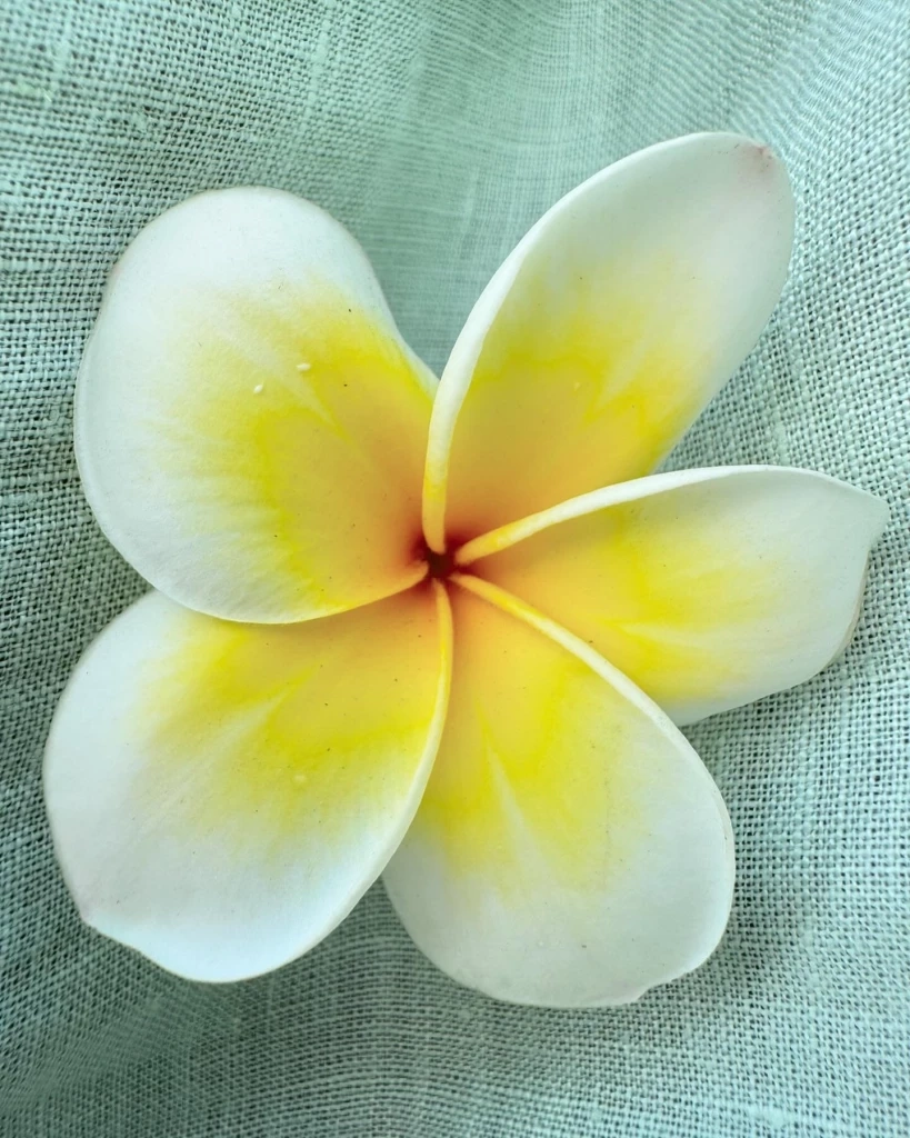 "โรเจอร์ เฟเดอเรอร์” โพสต์ภาพส่งท้าย ลงรูปท่องเที่ยวและอาหารไทยรัวๆ