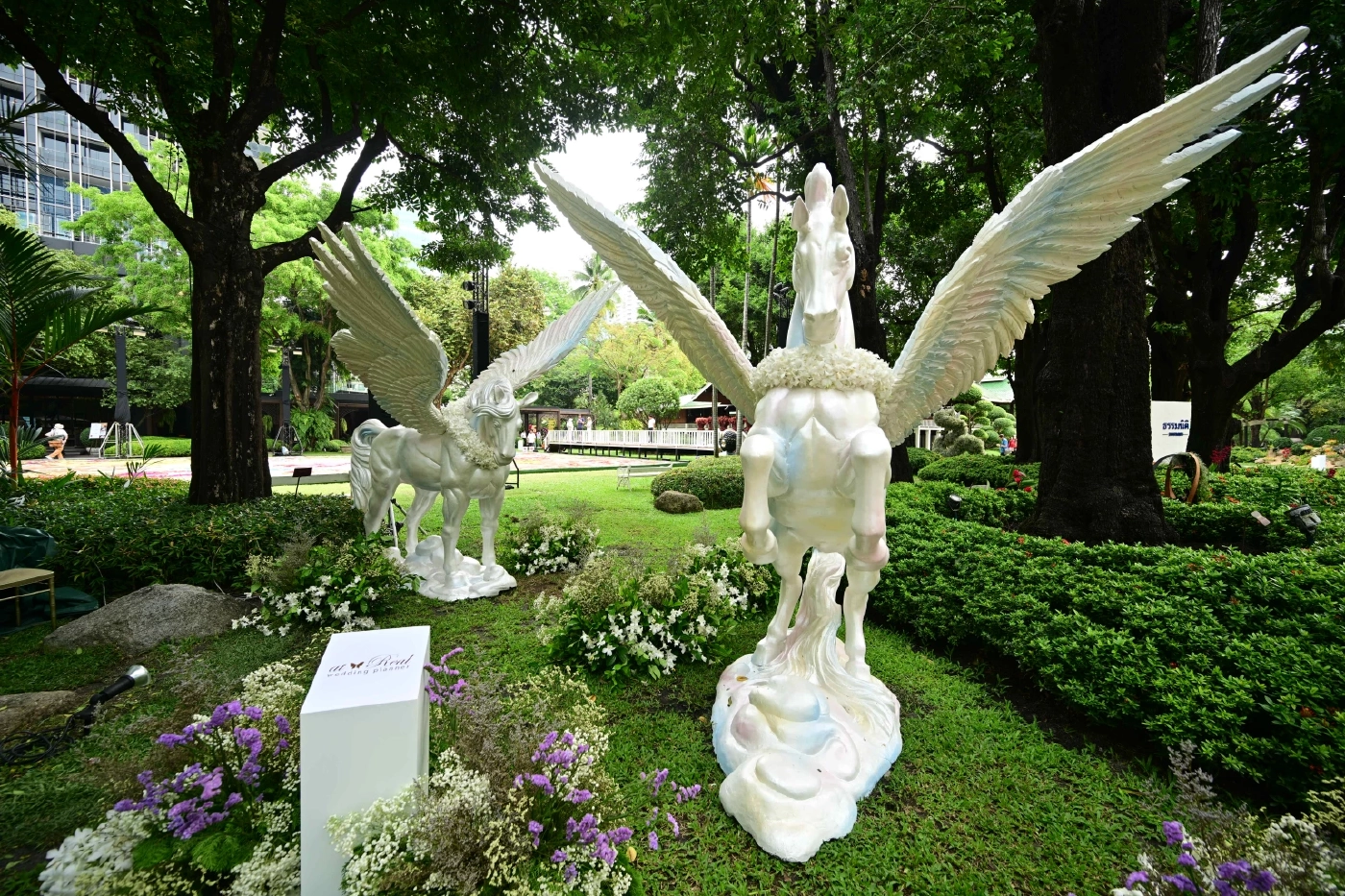 ถ่ายรูปให้ฉ่ำที่ งานดอกไม้ปาร์คนายเสิศ เทศกาลที่คนรักศิลปะและดอกไม้รอคอย