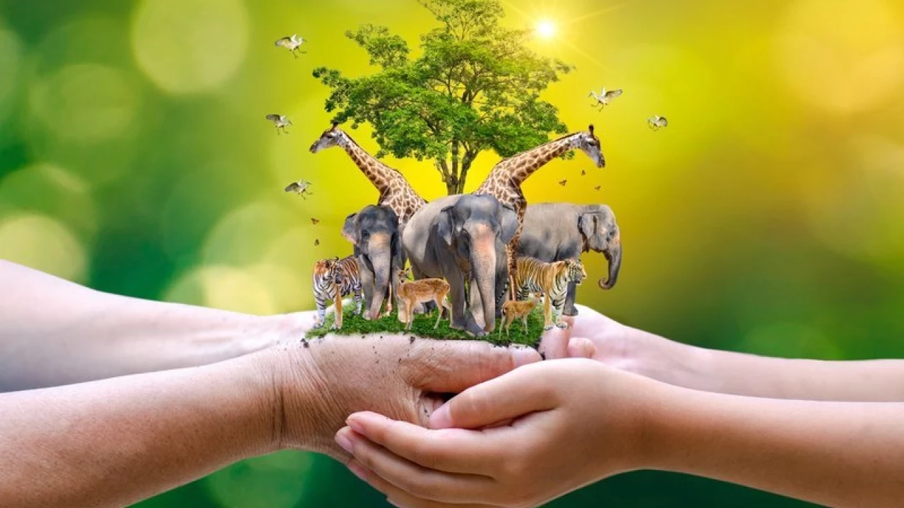 ต้องมาซักครั้งในชีวิต 9 แหล่งท่องเที่ยวธรรมชาติในเมืองชั้นนำที่เอเชีย 