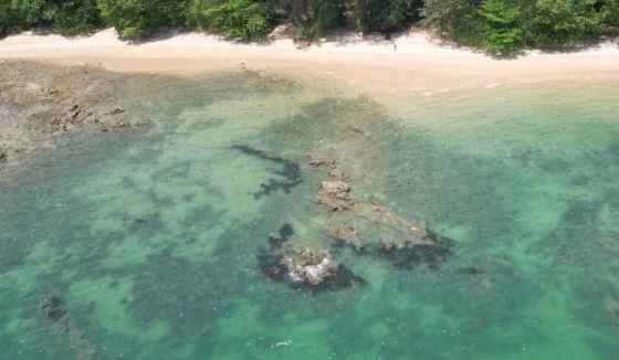 เครดิตภาพ : Phuket Smart News