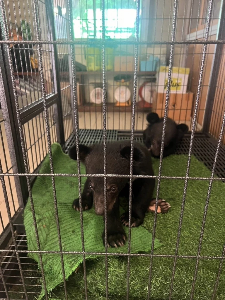 เครดิตภาพ : เพจเฟซบุ๊ก ประชาสัมพันธ์ กรมอุทยานแห่งชาติ สัตว์ป่า และพันธุ์พืช