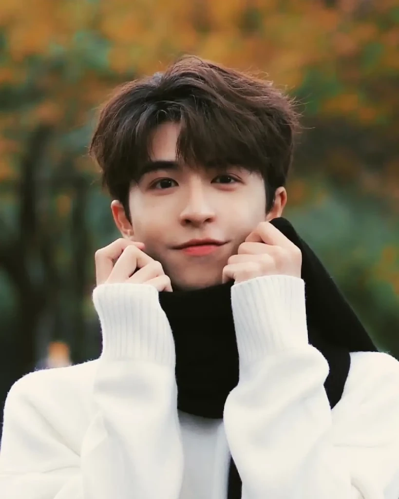 ฝันอยากเป็นนักบิน สุดท้าย แพทริค ณัฐวรรธ์ ได้เป็นซุปตาร์โด่งดังที่จีน