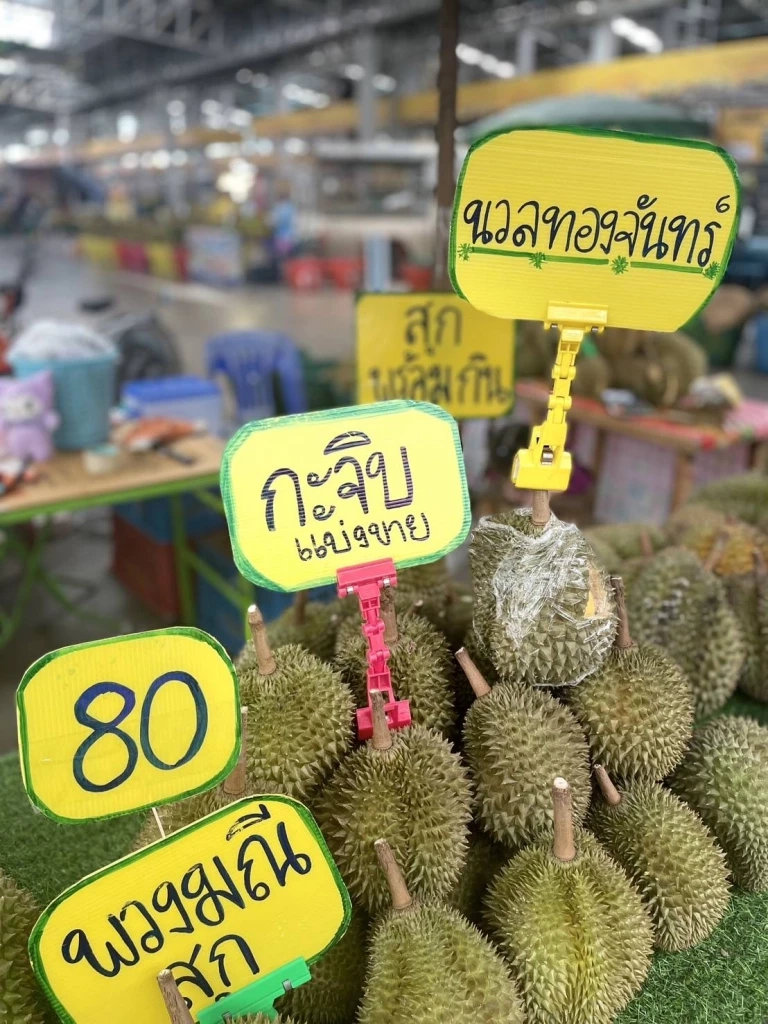 กินให้จุใจ! กินให้หายอยาก! เปิดโปร "ทุเรียน Expo สี่มุมเมือง 2024"