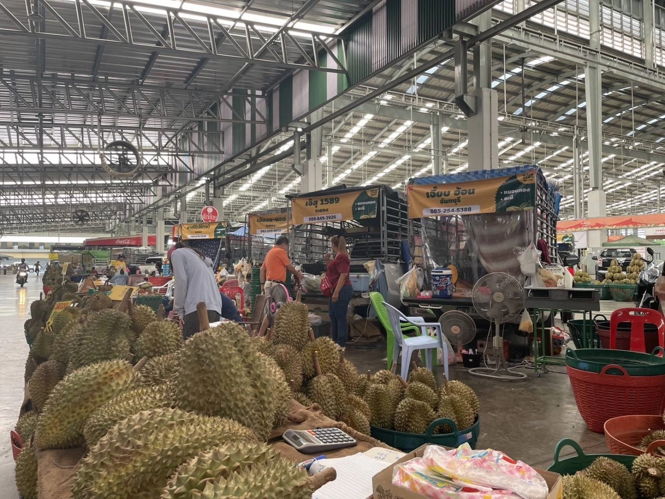 กินให้จุใจ! กินให้หายอยาก! เปิดโปร "ทุเรียน Expo สี่มุมเมือง 2024"