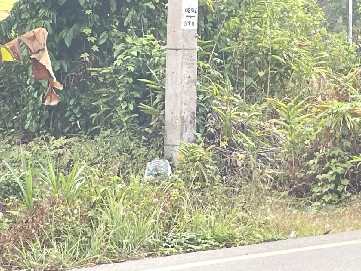 ด่วน! คนร้ายยิง อส. ที่บาเจาะดับ วางระเบิดซ้ำ จนท.ตรวจที่เกิดเหตุเจ็บ 3