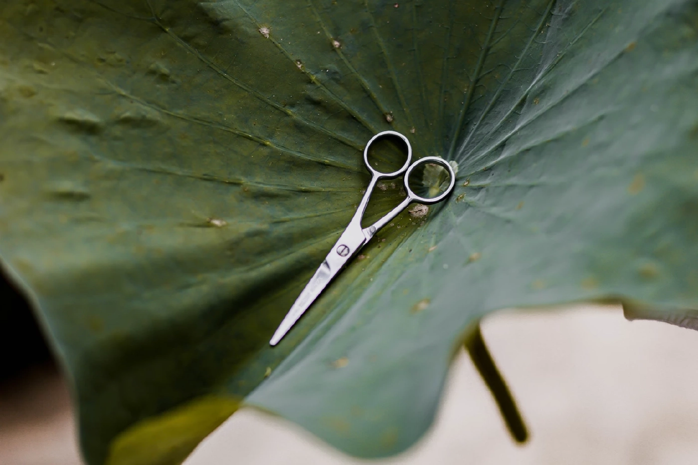 คิดจะบวช ถ้าเป็นหนี้บวชได้ไหม เช็กคุณสมบัติต้องห้าม พร้อมคำชี้แนะจาก "พระพยอม"