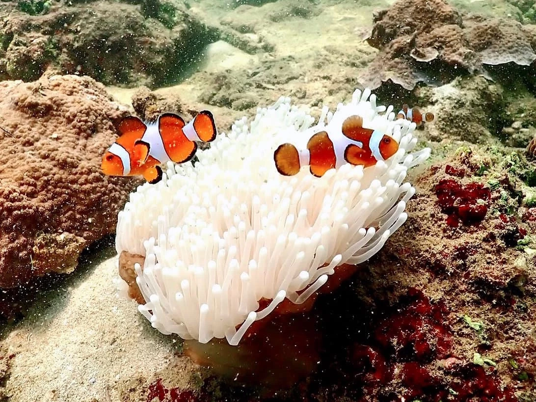 ภาพจากเฟซบุ๊ก Thon Thamrongnawasawat