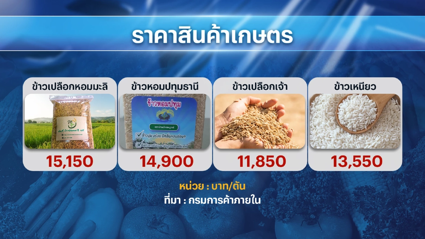 กระทรวงพาณิชย์ยัน 'ไข่ไก่' มีเพียงพอบริโภค