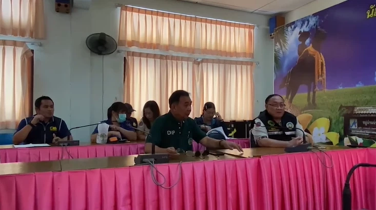 เจ้าของรับแล้ว น้องเสือย้อมสี ที่แท้เป็นเสือโคร่ง ไม่ใช่ "ไลเกอร์"