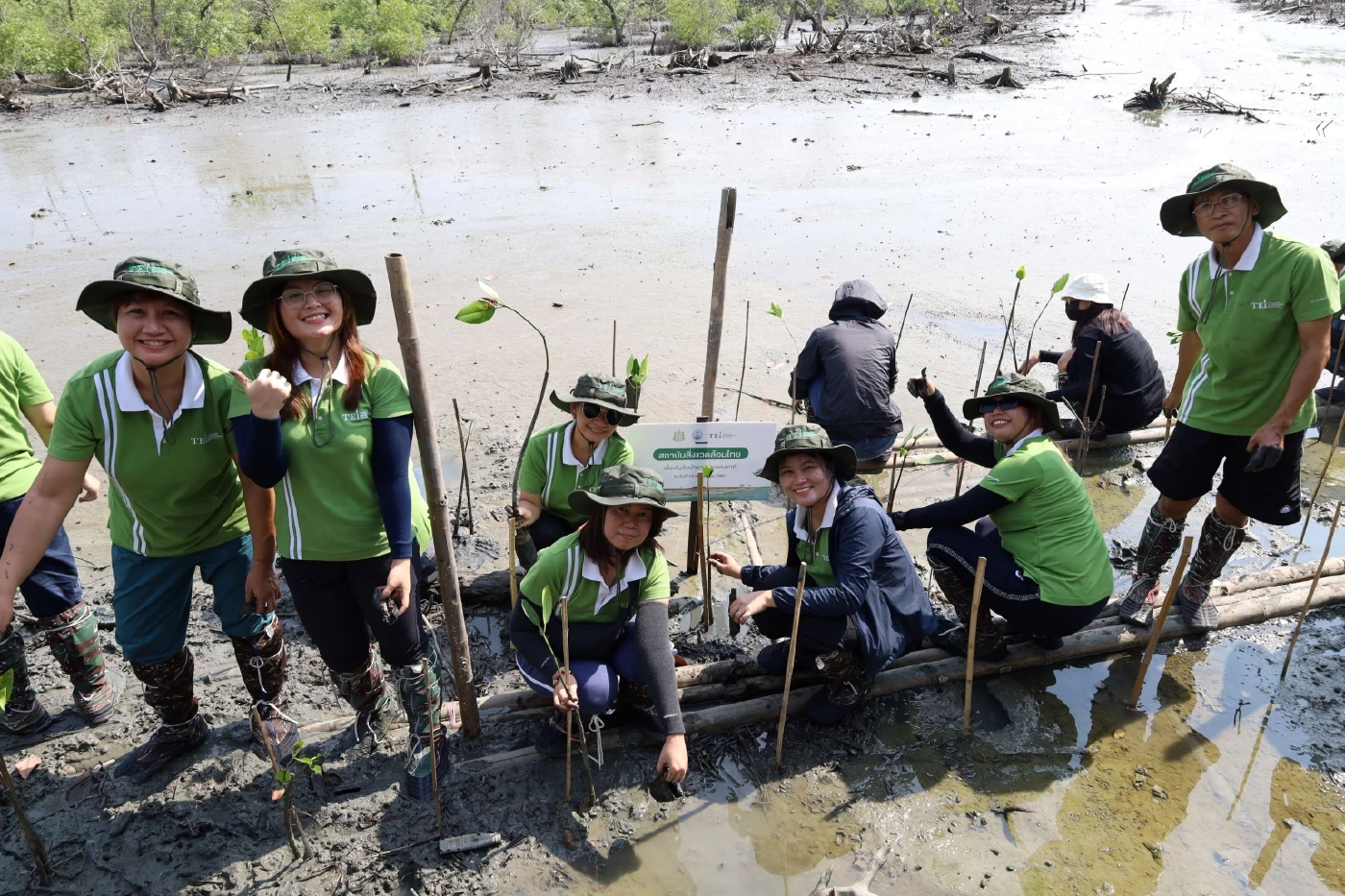 10 พฤษภาคม วันป่าชายเลนแห่งชาติ ชวนรู้จัก “โกงกาง” หัวใจระบบนิเวศชายฝั่ง