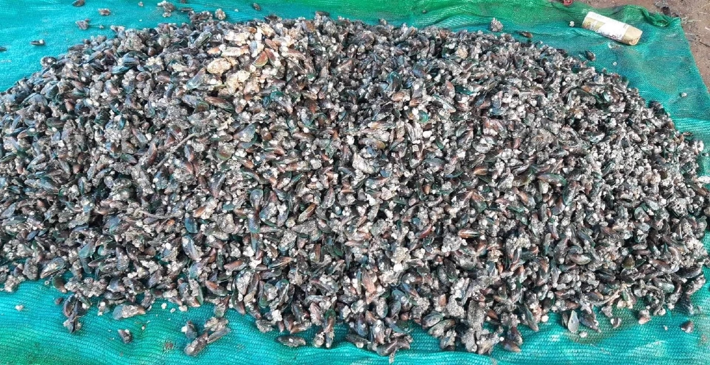 สำรวจชุมชน หลังไฟไหม้ "มาบตาพุดแทงค์" ชาวประมงเผยขาดรายได้