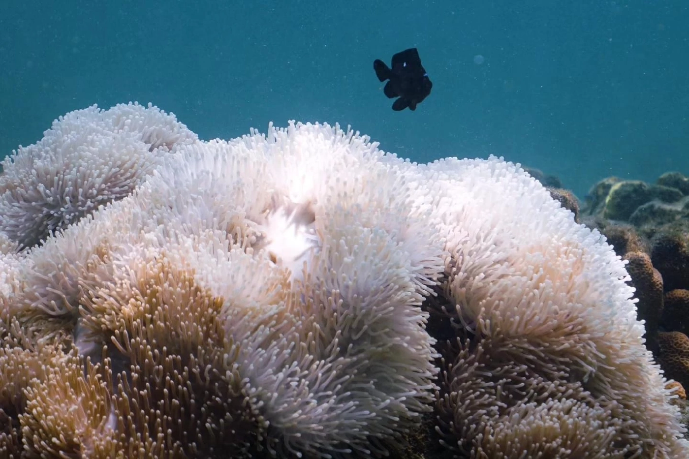 เครดิตภาพจาก FB ทราย สก๊อต