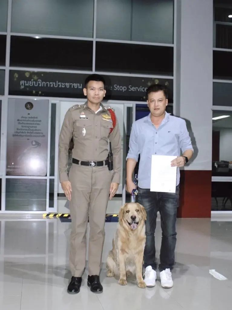 เห็นแล้วสะเทือนใจ "โกลเด้น" โชคร้าย ถูกนำไปปล่อยทิ้ง วิ่งตามเจ้าของจนหมดแรง