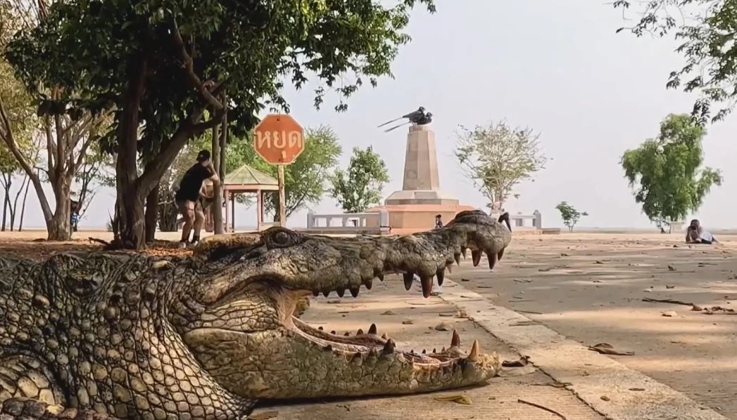 ยลโฉมลูกจระเข้เกิดใหม่ 8 ตัว ในเขตห้ามล่าฯ บึงบอระเพ็ด คาดระบบนิเวศสมบูรณ์