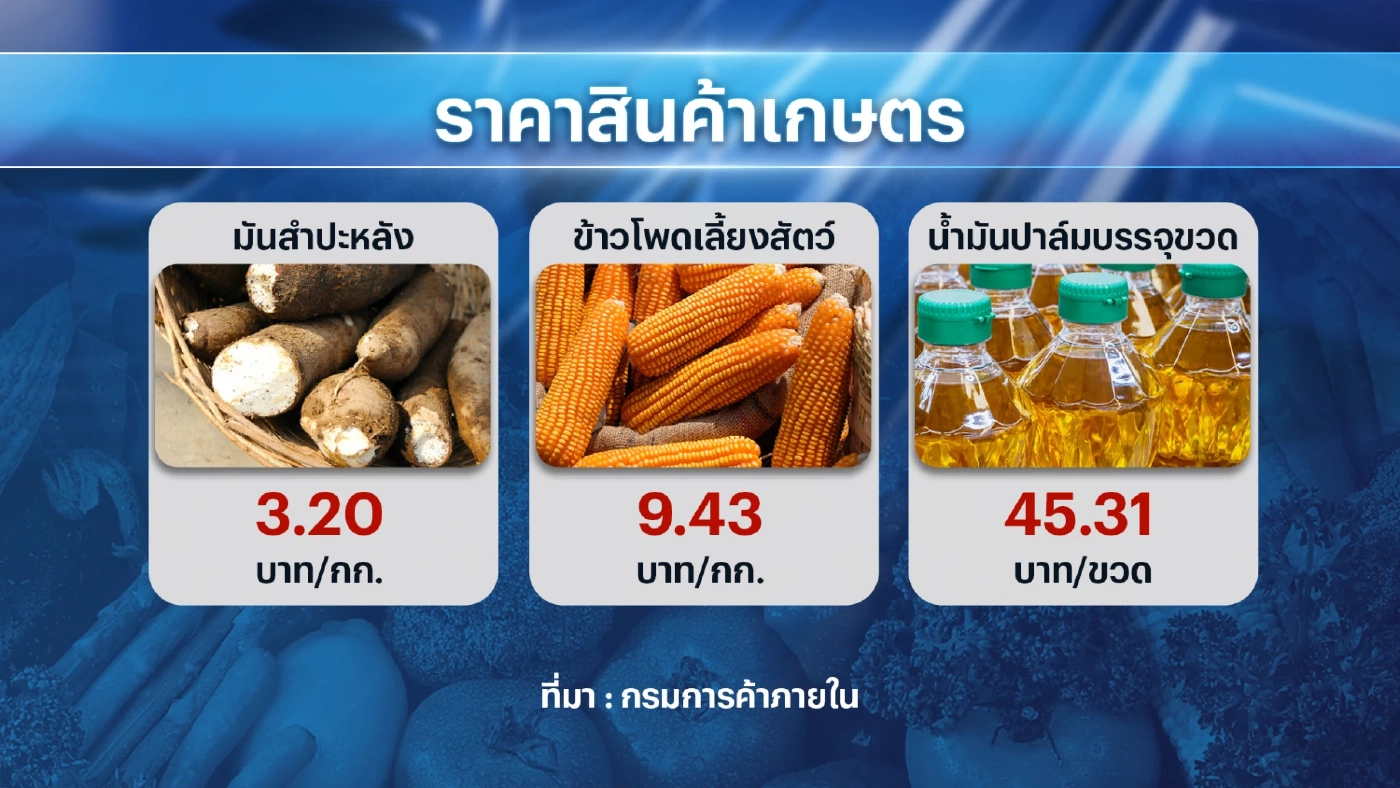 กระทรวงพาณิชย์ยัน 'ไข่ไก่' มีเพียงพอบริโภค