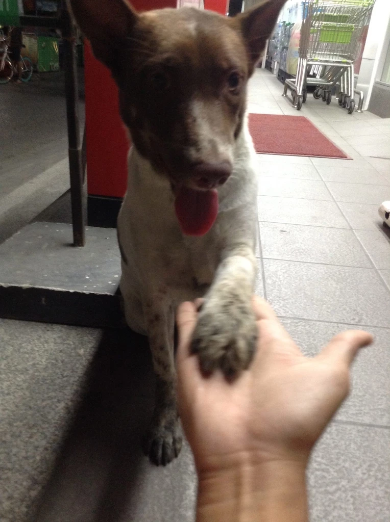 ตอนเจอกอลลั่มแรกๆ ภาพจากเพจ Gluta Story