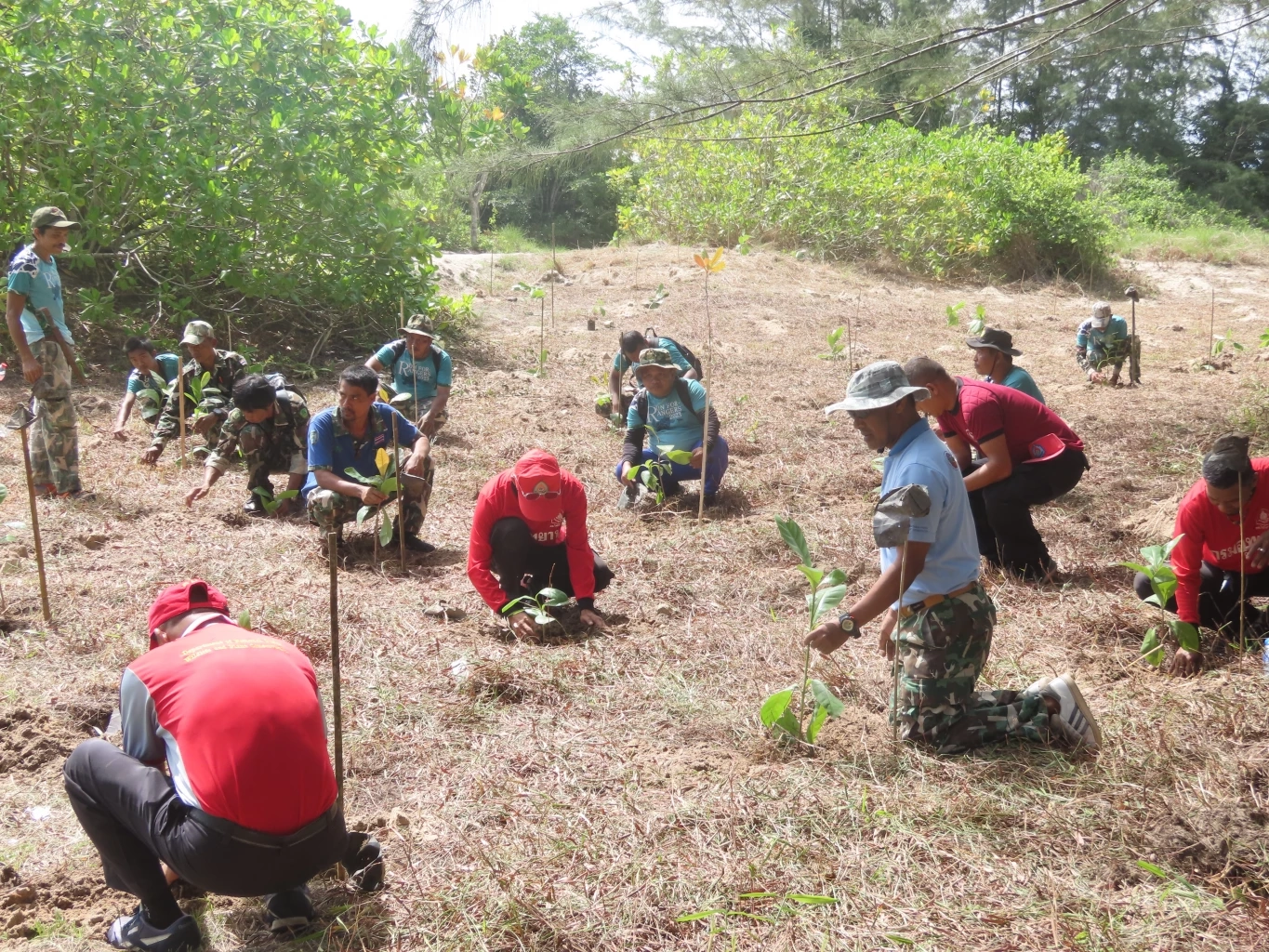 รวมพลังเก็บขยะชายหาด ปลูกต้นไม้ 200 ต้น ที่เขาหน้ายักษ์ รับวันทะเลโลก