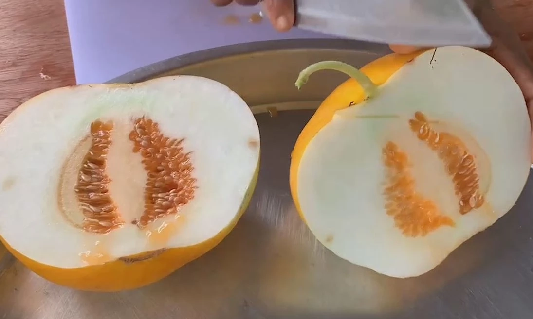 \"แตงส้ม\" พืชเศรษฐกิจตัวใหม่ ปลูก 30 วันเก็บขาย รังสรรค์ได้สารพัดเมนู