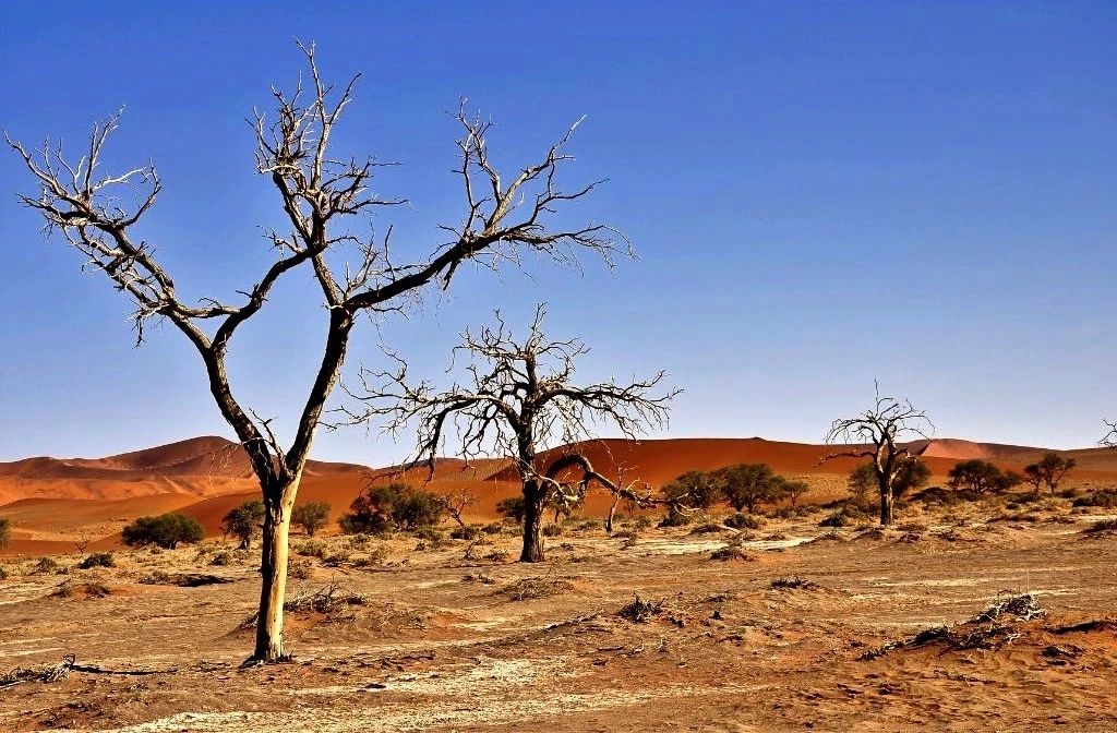 จากโลกร้อนสู่ "ทะเลทราย" ประเทศไทยมีโอกาสมากน้อยแค่ไหน?