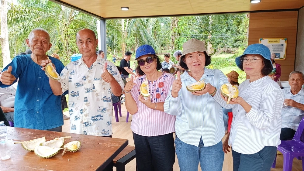 คึกคักวันหยุด นทท.แห่กิน "ทุเรียนสาลิกา" ถึงในสวนที่อำเภอกะปง