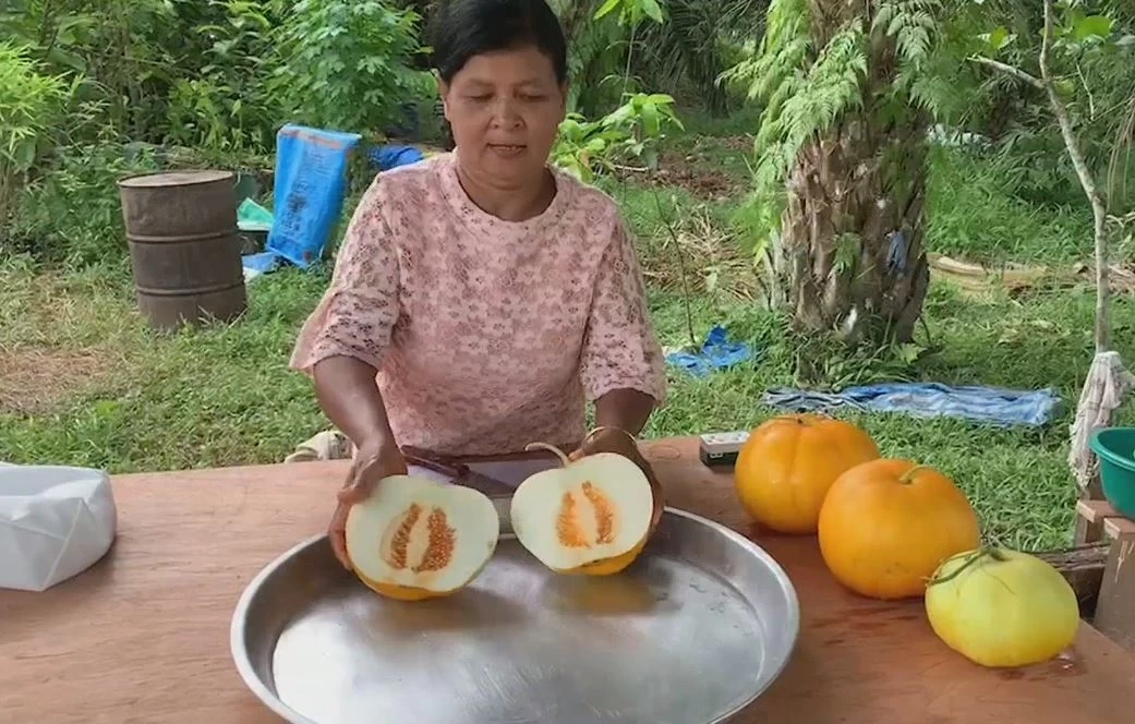 \"แตงส้ม\" พืชเศรษฐกิจตัวใหม่ ปลูก 30 วันเก็บขาย รังสรรค์ได้สารพัดเมนู