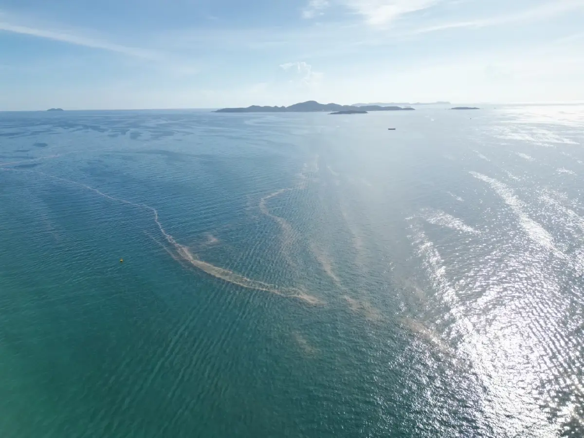 เกิดอะไรขึ้น? คราบน้ำมันลอยทะเลพัทยา ตั้งข้อสงสัยโยงเรือน้ำมันเถื่อนหาย