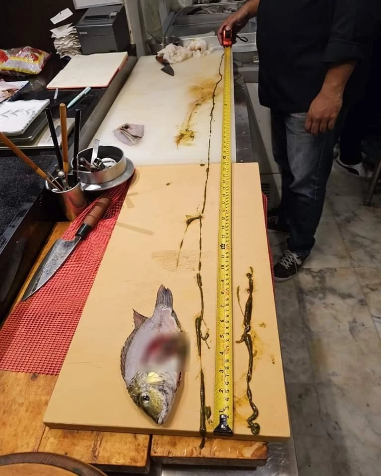 เชฟร้านซูชิชื่อดัง รีวิวชำแหละ "ปลาหมอคางดำ" พบไส้ยาวกว่า 59 นิ้ว