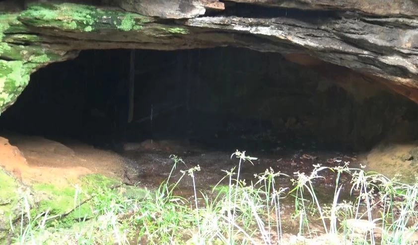พบถ้ำอายุหลายร้อยปี ซ่อนตัวในป่าลึกที่ยโสธร เหมาะพัฒนาเป็นแหล่งท่องเที่ยว