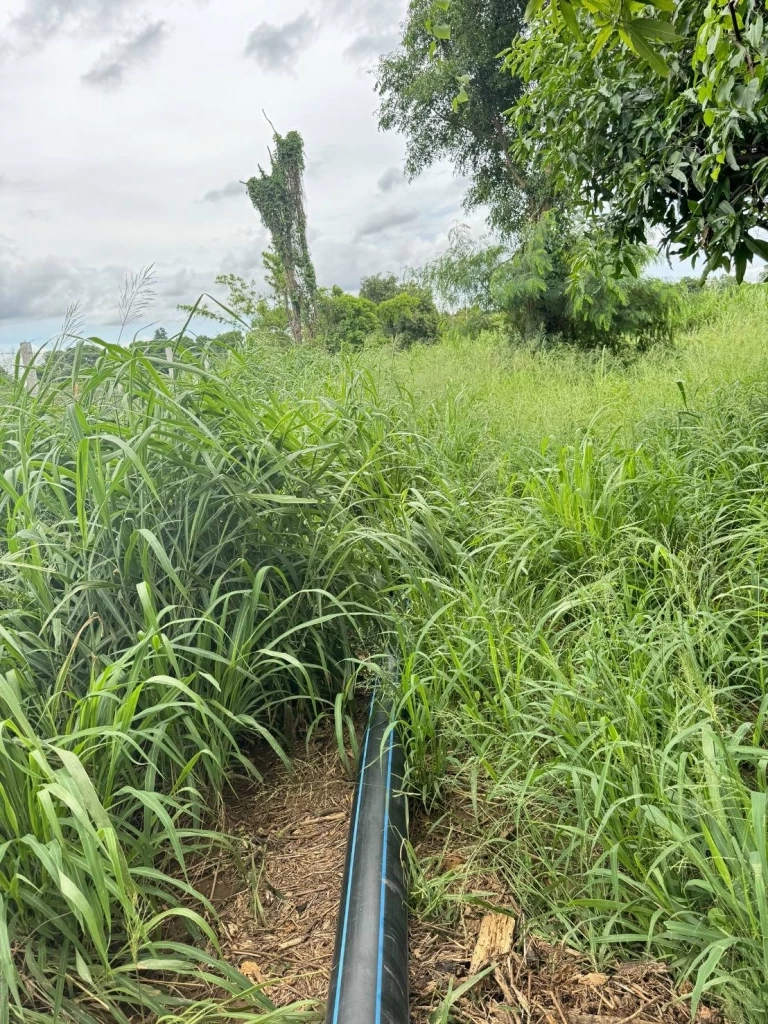 ร้อง ก.อุตสาหกรรม สั่งปิดโรงงานแป้งมันฉาว ดื้อปล่อยย้ำเสียลงที่ ส.ป.ก.