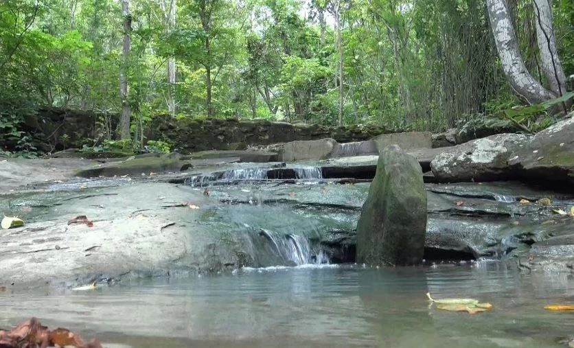 พบถ้ำอายุหลายร้อยปี ซ่อนตัวในป่าลึกที่ยโสธร เหมาะพัฒนาเป็นแหล่งท่องเที่ยว