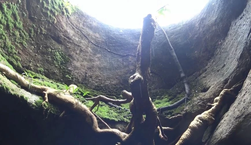 พบถ้ำอายุหลายร้อยปี ซ่อนตัวในป่าลึกที่ยโสธร เหมาะพัฒนาเป็นแหล่งท่องเที่ยว