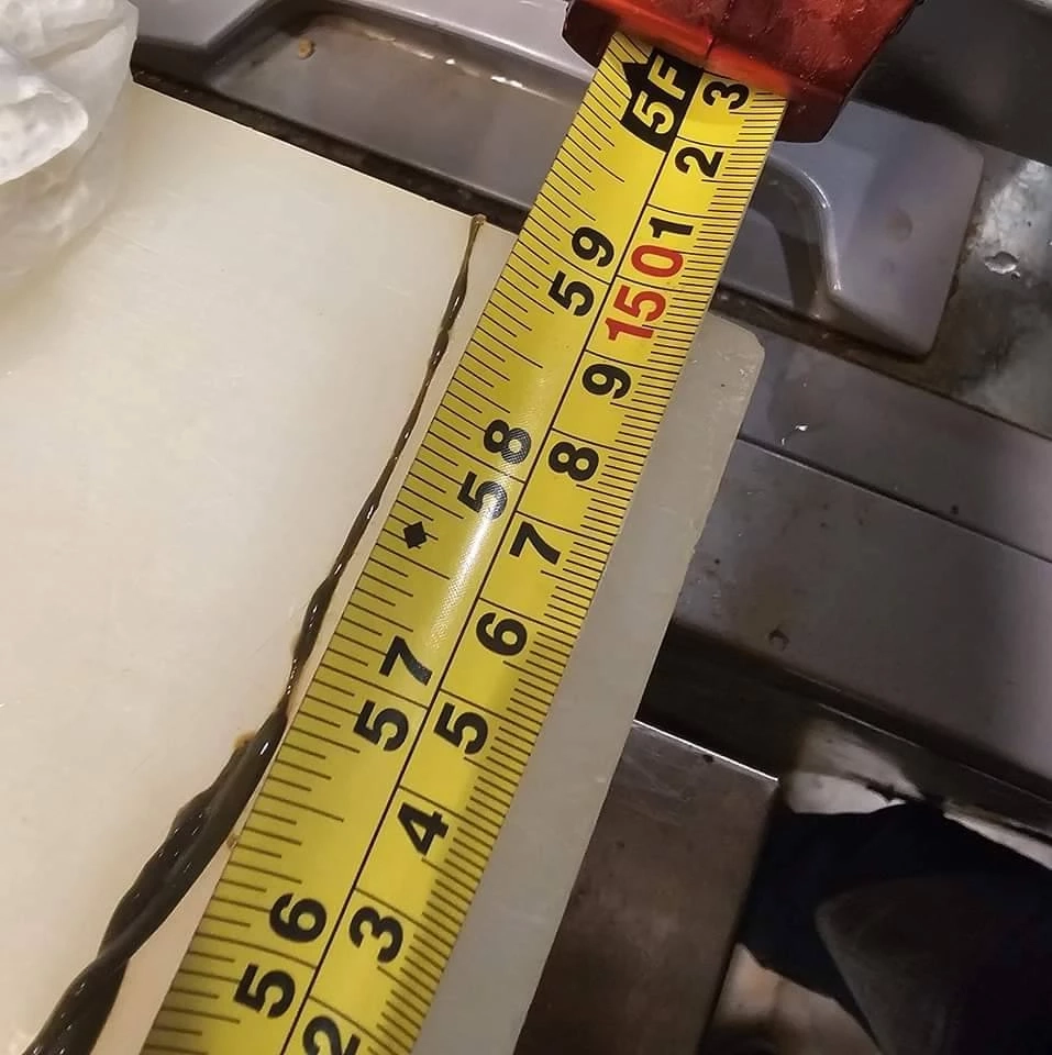 เชฟร้านซูชิชื่อดัง รีวิวชำแหละ "ปลาหมอคางดำ" พบไส้ยาวกว่า 59 นิ้ว