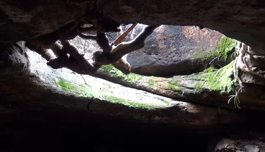 พบถ้ำอายุหลายร้อยปี ซ่อนตัวในป่าลึกที่ยโสธร เหมาะพัฒนาเป็นแหล่งท่องเที่ยว