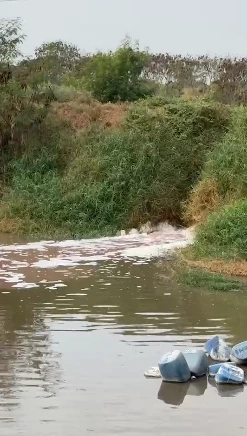 ร้อง ก.อุตสาหกรรม สั่งปิดโรงงานแป้งมันฉาว ดื้อปล่อยย้ำเสียลงที่ ส.ป.ก.