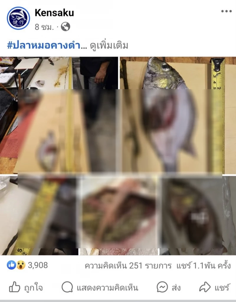 เชฟร้านซูชิชื่อดัง รีวิวชำแหละ "ปลาหมอคางดำ" พบไส้ยาวกว่า 59 นิ้ว
